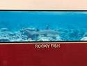 Rocky Fish