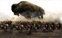 Trojan Buffalo
