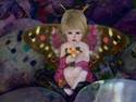 Fairy Fly