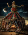 Queen of the Circus