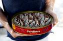 Sardines Anyone