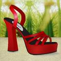 The red shoe