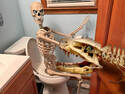 Oops Toilet is occupied!