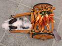 Bunny Carrot Cart