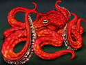Sweet Red Octopus