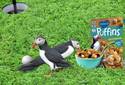 Puffins for the...