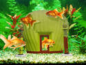 Fancy Fish Feeder?