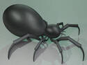 Black egg spider