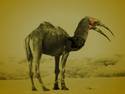 hybrid.camel