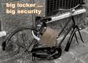big locker big security