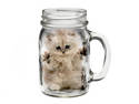 Just A Cat In A Jar