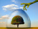 Last tree on Earth