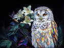 Owl and Flowers
