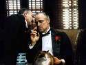 The Godfather
