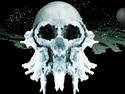 ice skull