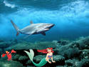 Hide Ariel Under The Sea