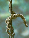 Rope Pole Dancer