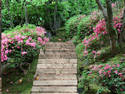 Floral stairway