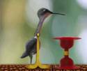 Dippy Bird Toy GIF
