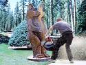 GRIZZLY JOB