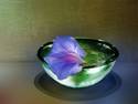 Bowl with flower