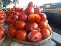 Free shape of tomatoes