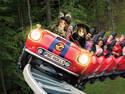 Roller Coaster Fun