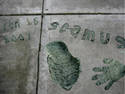 Immortalized in Cement