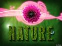 -= Nature Symphony =-