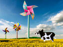 Bucolic countryside