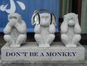 Don't be a Monkey