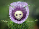 Thistle sprite