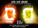 LED ICE BEAR