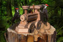 woodpecker's job UD