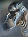 Stainless Zebra