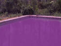 Purple Water