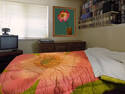 Ugly Quilt