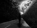 Walking in the Moonlight