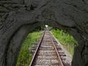 train out of a tunnel