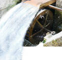 Torrent