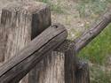 Wooden fence Posts