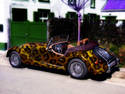 Leopard Painted Car
