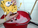 Squeezing Sponge Bob!