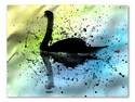 Watercolor Swan
