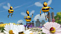 Don't Worry,Bee Happy