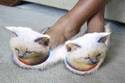 Purrfect slippers!