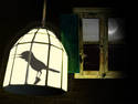 Light caged bird