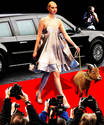 Hollywood Goat