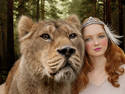 Lily and the Lion