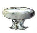 Fungus small table
